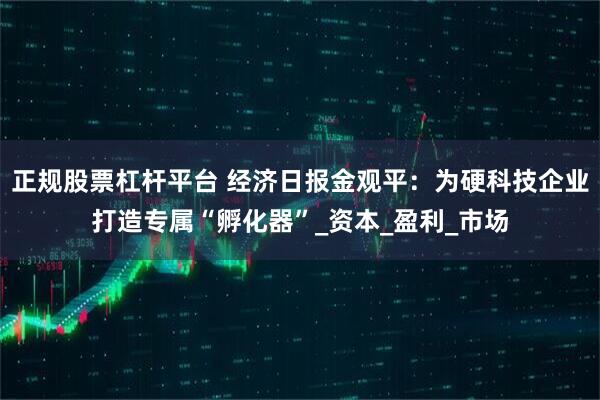 正规股票杠杆平台 经济日报金观平：为硬科技企业打造专属“孵化器”_资本_盈利_市场